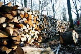 Brennholzversteigerung der Agrargemeinschaft Klaus