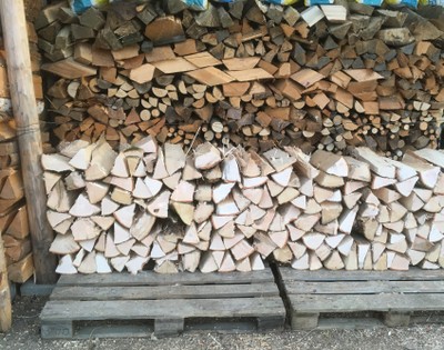 Brennholzversteigerung - Agrargemeinschaft Sulz