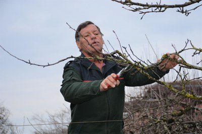 Winter-Obstbaumschnittkurs mit Lothar Lins