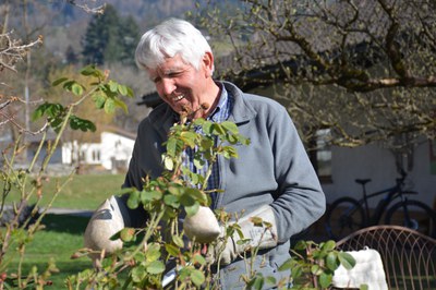 Wir pflegen und schneiden Rosen mit Rudi Waibel
